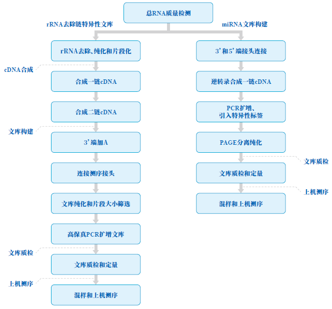 微信55图片_20231226171338.png